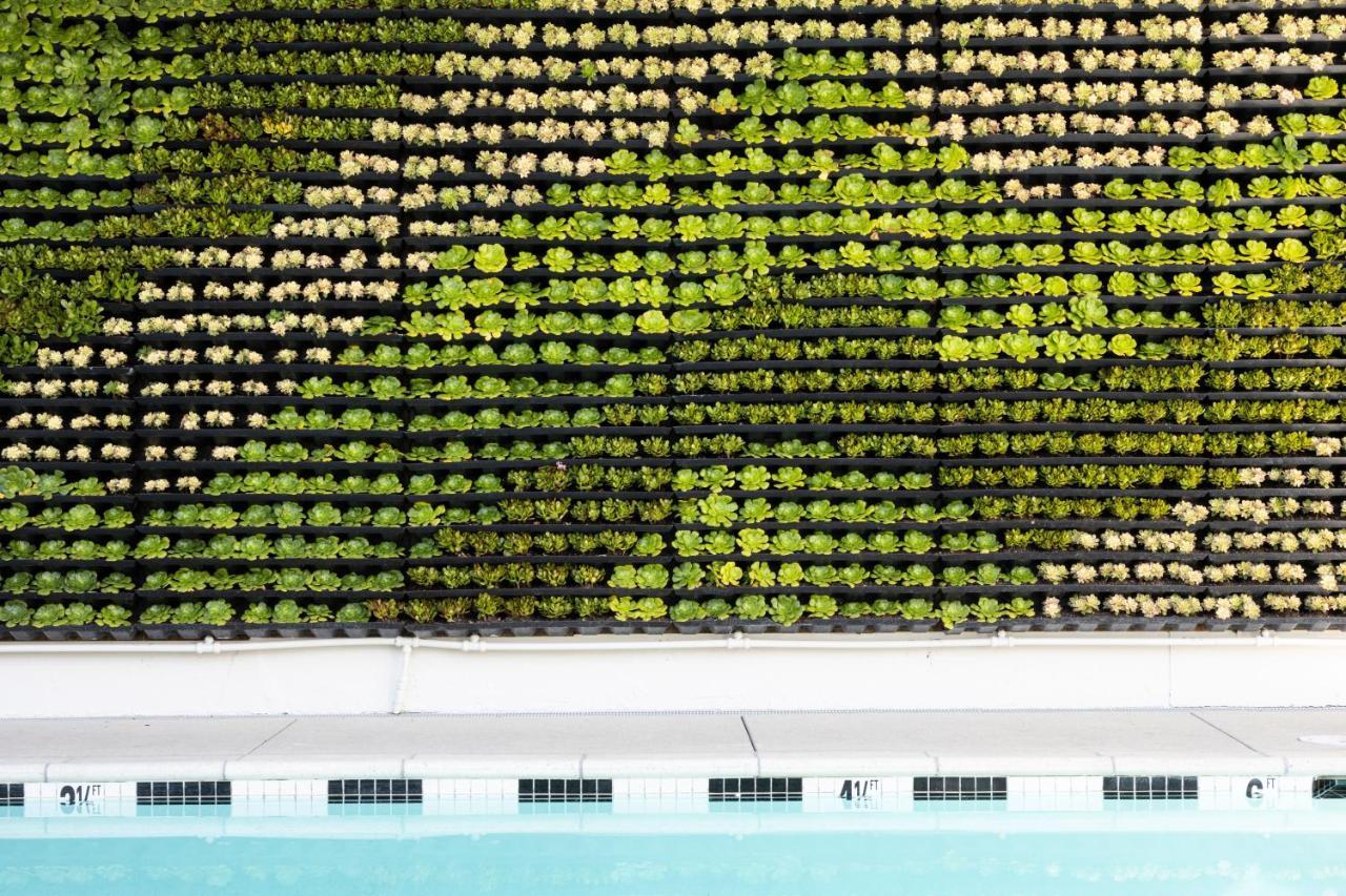 Short Stories Hotel Los Angeles